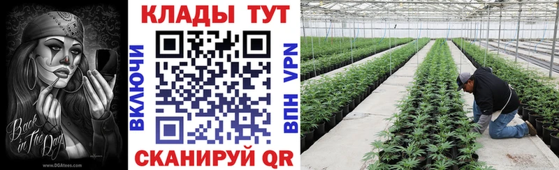 Codein Змеиногорск