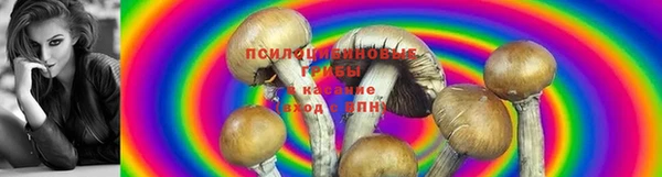 экстази Алексеевка