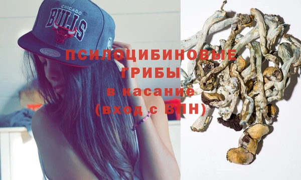 2c-b Алексин