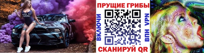 Галлюциногенные грибы ЛСД  KRAKEN как зайти  Змеиногорск 